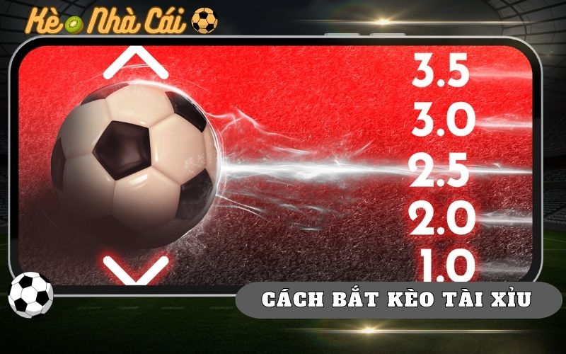 Bí Quyết Bắt Kèo Tài Xỉu Hiệu Quả Từ Bet Thủ Cao Tay